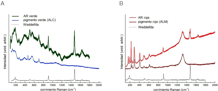 Espectros Raman de muestras de arte rupestre (AR) y pigmento recolectadoen el sitio, se incluye espectro de weddellita (base de datos) para su comparación.(A) muestras verdes; (B) muestras rojas.